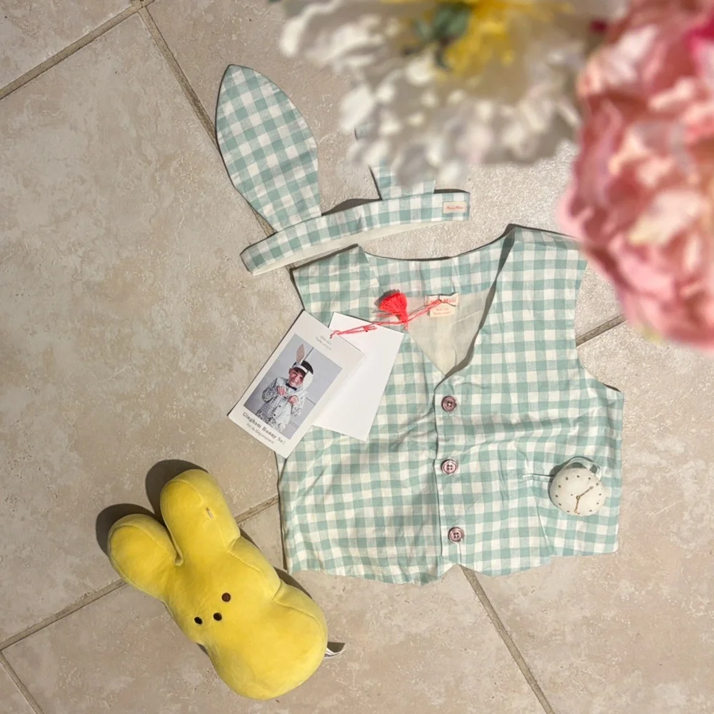 🐰Meri Meri Dusty Mint Gingham 2-Piece Bunny Costume Vest & Ears Set O/S